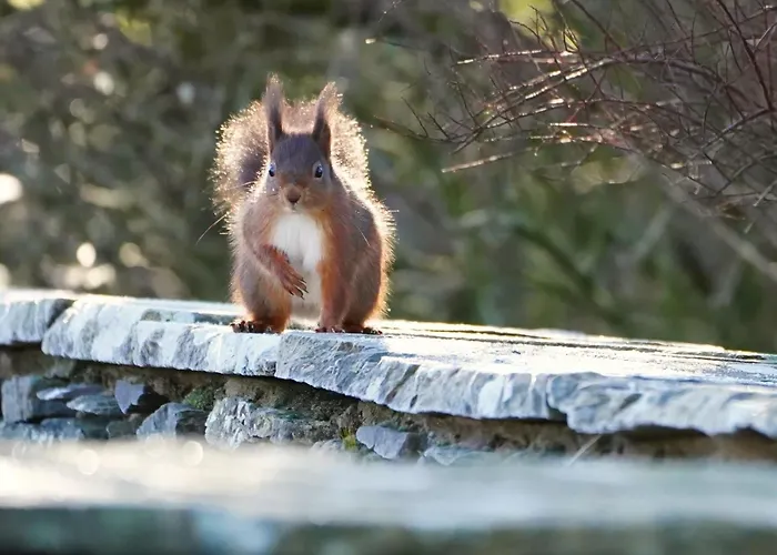 Holiday home The Byre Ravenstonedale
